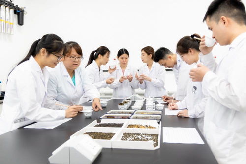 用科技支撐靈感 喜茶首創(chuàng)行業(yè)專業(yè)食品營養(yǎng)與科學研究科技信息咨詢服務